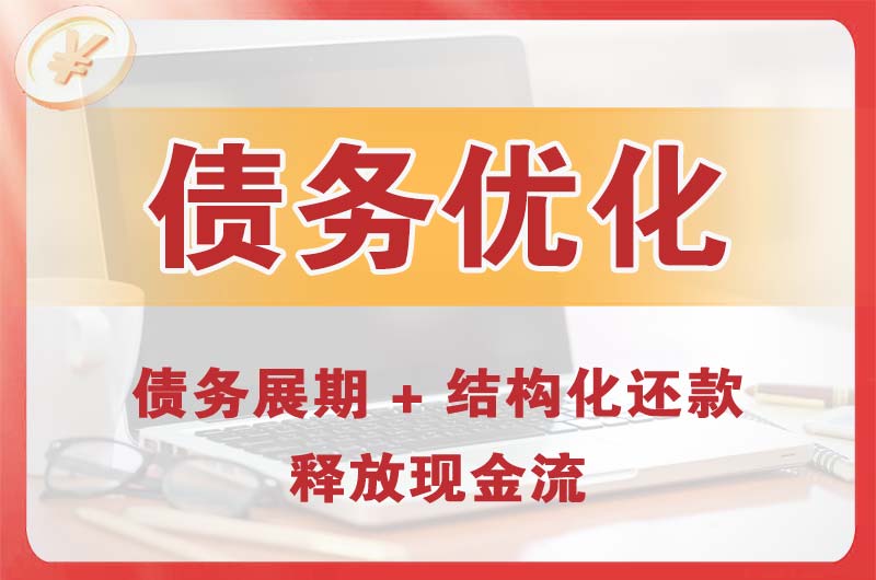 晴隆债务优化
